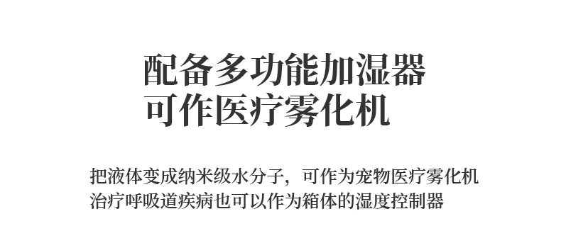 11（翻译）.png