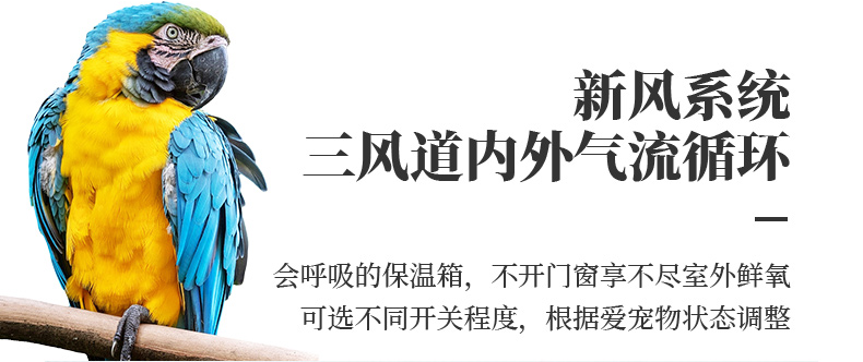 9(翻译).png