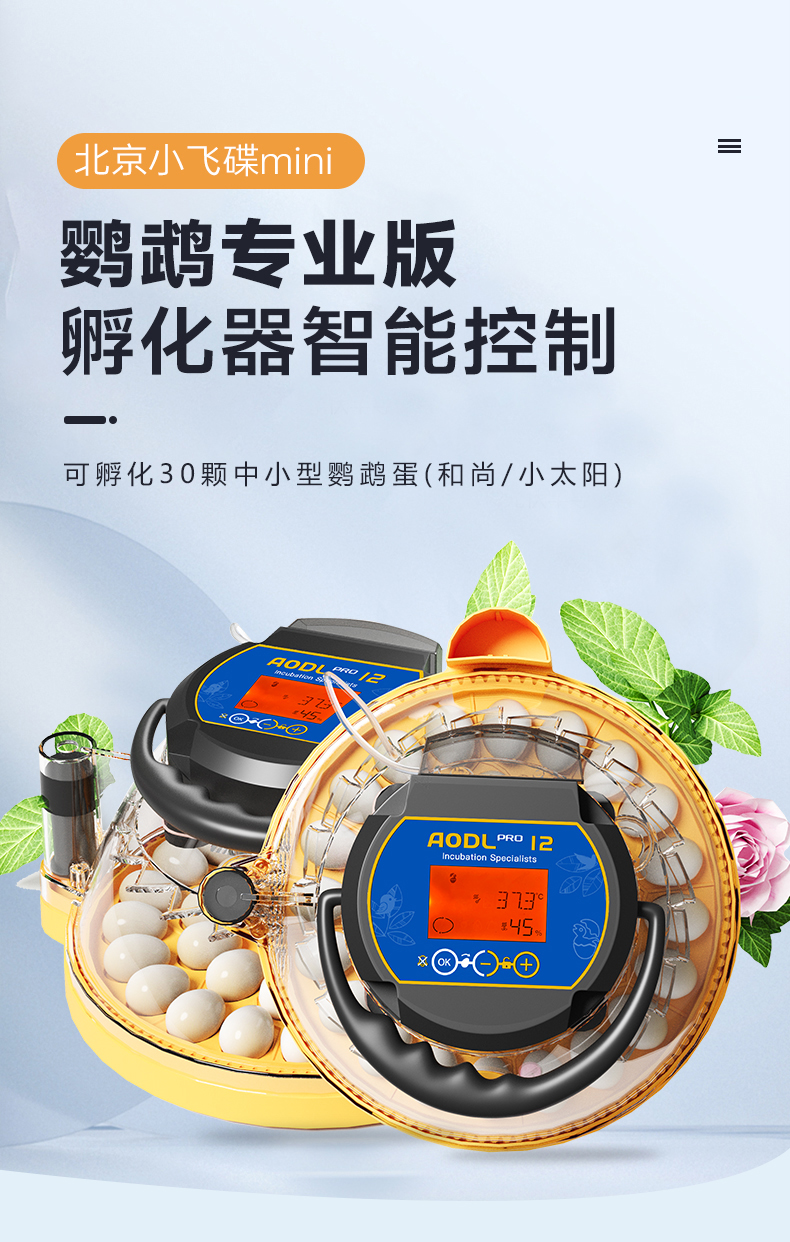 详情页_01.jpg